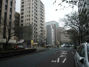 sP1110754.jpg