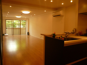 sanview106.jpg