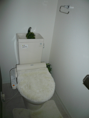 toilet.jpg