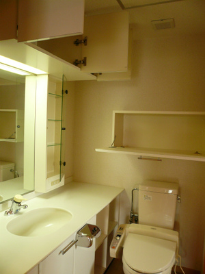 toilet2.jpg