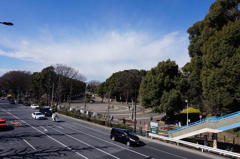 代々木公園