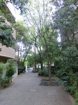 港区薬園坂緑地近く.jpg