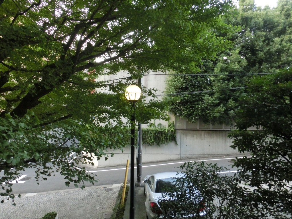 CIMG8340