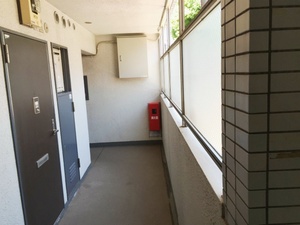 IMG_6792.jpg