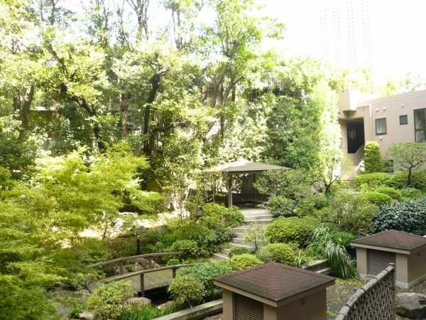 P1100615.jpg