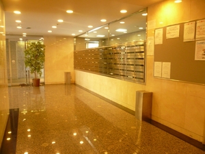 P1100685.jpg