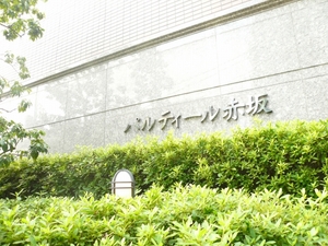 P1100691.jpg
