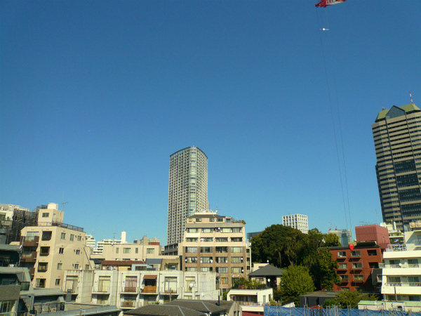 P1110342.jpg