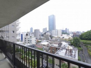 赤坂台マンション301号室 (19)
