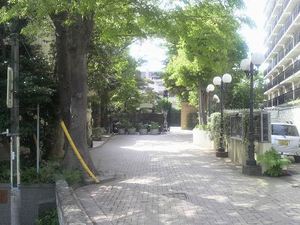 s-P1000495.jpg