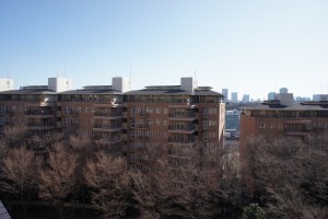 SONY DSC
