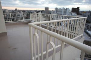 SONY DSC