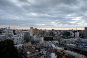 SONY DSC