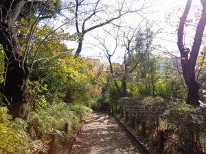 渋谷区立鍋島松濤公園 