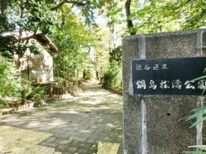 渋谷区立鍋島松濤公園