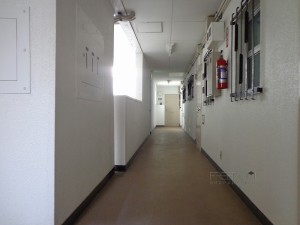 秀和六本木レジデンス-共用廊下