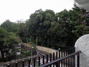 秀和三田綱町レジデンス409号室 (8)