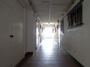 秀和六本木レジデンス-共用廊下
