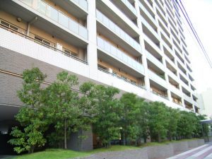 渋谷アインス_外観共用部
