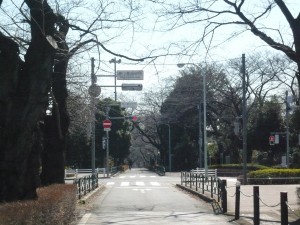 青山霊園周辺 (3)