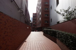 DSC03931