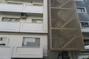 IMG_0008