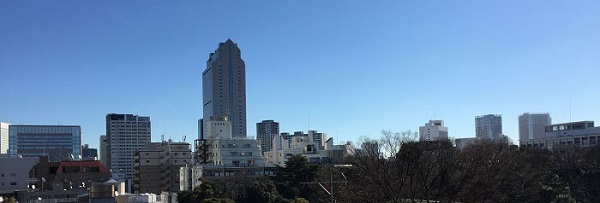 IMG_9517ss