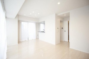 アトラスタワー六本木1304号室 (5)