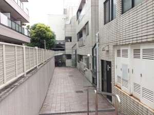 IMG_3542