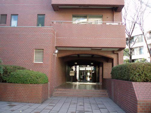parerowaiyaruminamiaoyama2-thumb