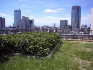 麻布市兵衛ホームズ外観共用部 (12)