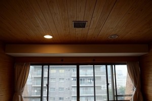 DSC08783 - コピー