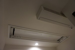 DSC08806