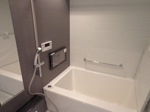 秀和三田綱町レジデンス409号室 (65)