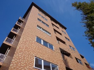原宿ニュースカイハイツアネックス-外観写真