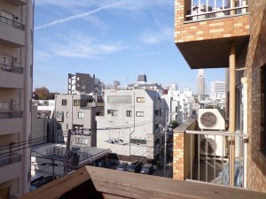 原宿ニュースカイハイツアネックス5F (51)