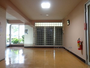 原宿ニュースカイハイツアネックス-外観写真