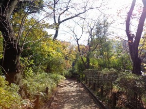 松濤公園