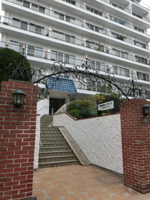 CIMG8654