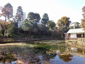松濤公園