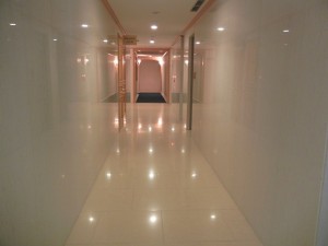 ドムス南麻布外観共用部 (11)