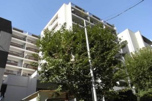 パレス三條外観共用部 (11)