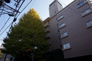 DSC07870