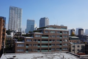 DSC07914