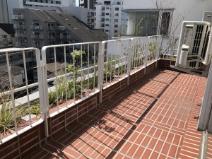 IMG_2010