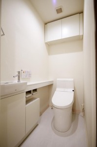 マンションヴィップ新宿御苑7F (10)