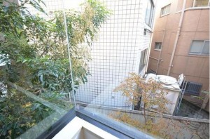 202眺め