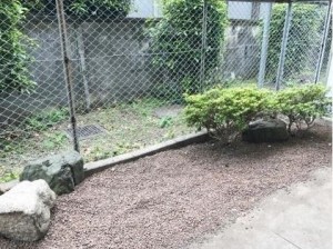 103専用庭