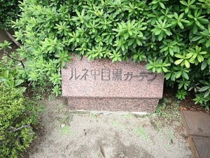 ルネ中目黒ガーデン外観共用部 (8)