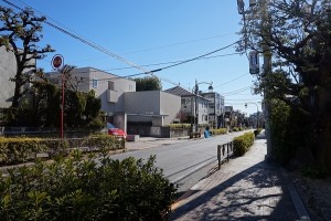 DSC08559